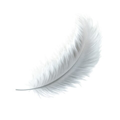 Obraz premium Elegant White Feather Isolated on Black Background, Perfect for Artistic and Natural Themes