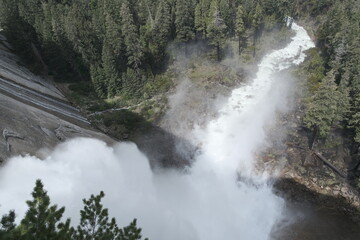 Yosemite National Park in California’s Sierra Nevada mountains green foliage on sunny day beautiful landscape