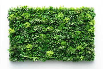 Living wall, dense with assorted green foliage, framed against white backdrop