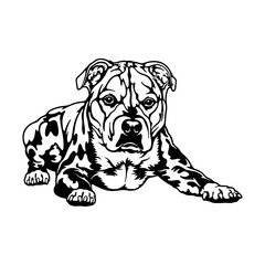 Staffordshire Bull Terrier Dog Breed - Pet Vector Cut file, Dog Silhouette Stencil - Cricut file
