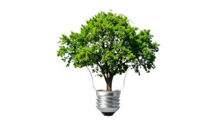 3D concept illustration of a green tree growing inside a transparent light bulb, symbolizing sustainable energy, eco-conscious innovation, and the harmony between technology and nature, 