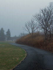 Fototapeta premium road in the morning