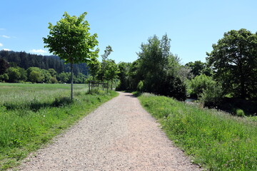 Fußweg an der Dreisam in Freiburg