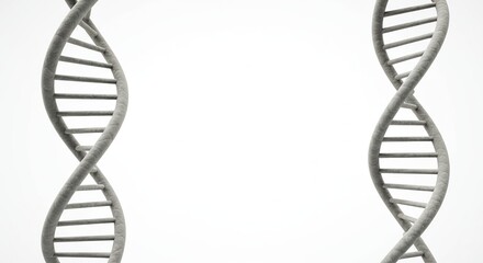 Double Helix Strands: Two Grey DNA Structures on a White Background.