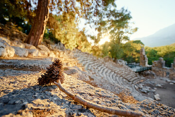 Ancient Amphitheater with Pine Cone in Vibrant Sunset Light..