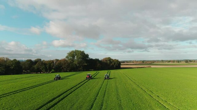 Drone Footage of Vast Vineyards &ndash; Aerial Views of Wine Fields in Rural Europe