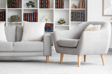 Interior of modern living room with sofa, armchair and bookshelves