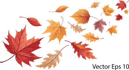 Falling Autumn Leaves Vector Illustration on White