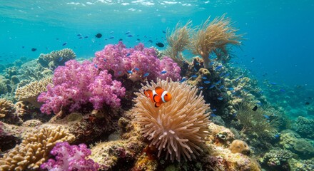 Vibrant Coral Reef with Clownfish - A stunning underwater scene showcasing a vibrant coral reef teeming with life, featuring an orange clownfish, schools of blue fish