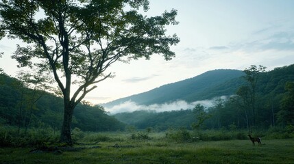 A deer stands in a field with trees and mountains in the background.