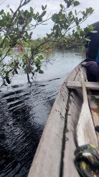 POV sailing in traditional wooden hollowed dugout canoe bow through the flooded forest in Amazon River. Side view of boat with man rowing in the sea, ocean or lake. Kayaking in the jungle, rainforest.