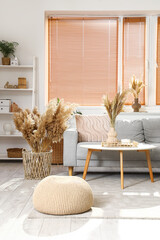 Interior of stylish living room with cozy grey sofa, coffee table and pampas grass
