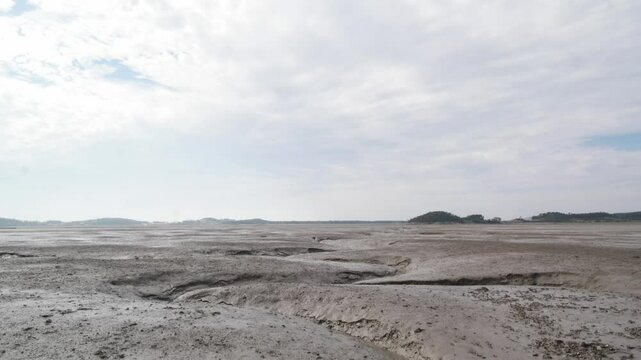 Clouds Passing Over Suaeda japonica Along Korea&rsquo;s Coast &ndash; Time-lapse Video