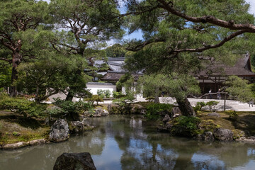 Obraz premium 日本、京都、慈照寺、銀閣寺、東山慈照禅寺、寺院、錦鏡池、楼閣建築、池泉回遊式庭園、枯山水庭園、佛寺、佛教、木造建築、古代建築、庭園、文化財、日本文化、歷史名勝、綠色、風景、青空、夏、写真素材、国の特別史跡、古都京都の文化財、世界遺産