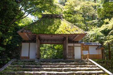 日本、京都、寺院、佛寺、木造建築、古代建築、庭園、文化財、日本文化、歷史名勝、綠色、風景、青空、夏、写真素材