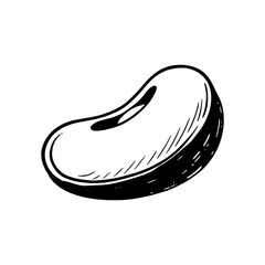 Hand-drawn illustration of a single bean