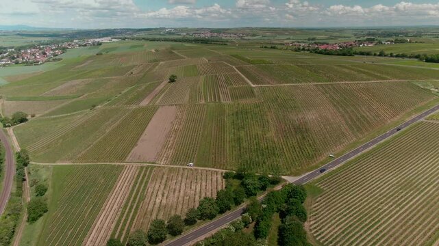 Drone Footage of Vast Vineyards &ndash; Aerial Views of Wine Fields in Rural Europe