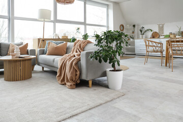 Interior of stylish studio apartment with living room and kitchen