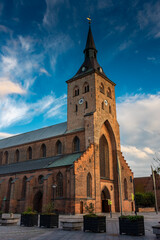 Obraz premium St. Canute's Cathedral of Odense, Denmark