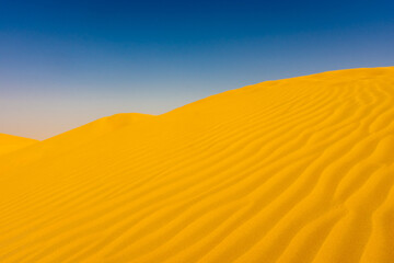 Landscape of the Rub Al Khali Desert near Dubai,  UAE