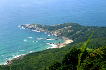 The snake island,which is also known as Ilha da Queimada Grande, is an island off the coast of...