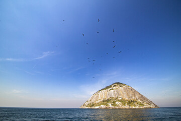 The snake island,which is also known as Ilha da Queimada Grande, is an island off the coast of...
