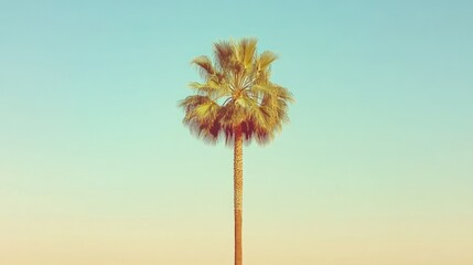 Single palm tree against pastel sky summer nature background