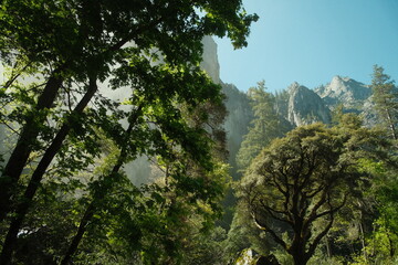 Scenery with granite cliffs, greenery, cascading waterfalls blue skies at Yosemite National Park in California’s Sierra Nevada mountains
