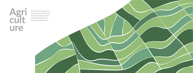 Organic rice field paddy wheat vineyard on green farm elegant vector design. Abstract eco-friendly pattern, wavy texture, plant, crops. Modern, creative layout for rural agriculture merch or package
