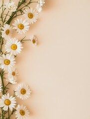 daisy day's eye flowers pastel orange background, empty blank copyspace for text card, spring summer flower greetings