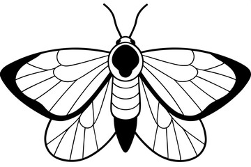 moth silhouette line art vector illustration with a white background