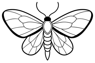moth silhouette line art vector illustration with a white background
