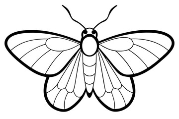 moth silhouette line art vector illustration with a white background