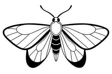 moth silhouette line art vector illustration with a white background