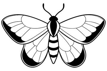 moth silhouette line art vector illustration with a white background