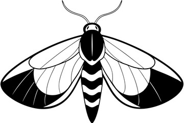 moth silhouette line art vector illustration with a white background