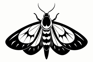 moth silhouette line art vector illustration with a white background