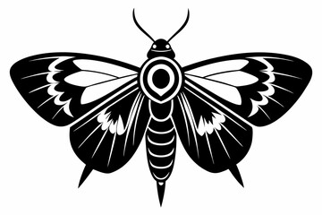 moth silhouette line art vector illustration with a white background