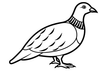 partridge silhouette line art vector illustration with a white background
