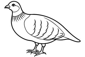 partridge silhouette line art vector illustration with a white background