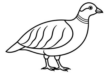 partridge silhouette line art vector illustration with a white background