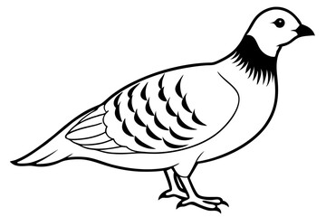 partridge silhouette line art vector illustration with a white background