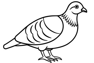 partridge silhouette line art vector illustration with a white background