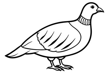 partridge silhouette line art vector illustration with a white background