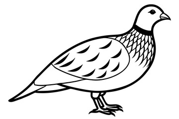 partridge silhouette line art vector illustration with a white background