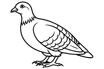 partridge silhouette line art vector illustration with a white background