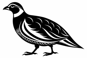 partridge silhouette line art vector illustration with a white background