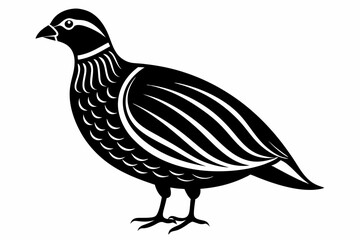 partridge silhouette line art vector illustration with a white background