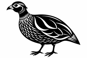 partridge silhouette line art vector illustration with a white background