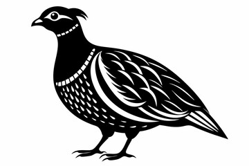 partridge silhouette line art vector illustration with a white background